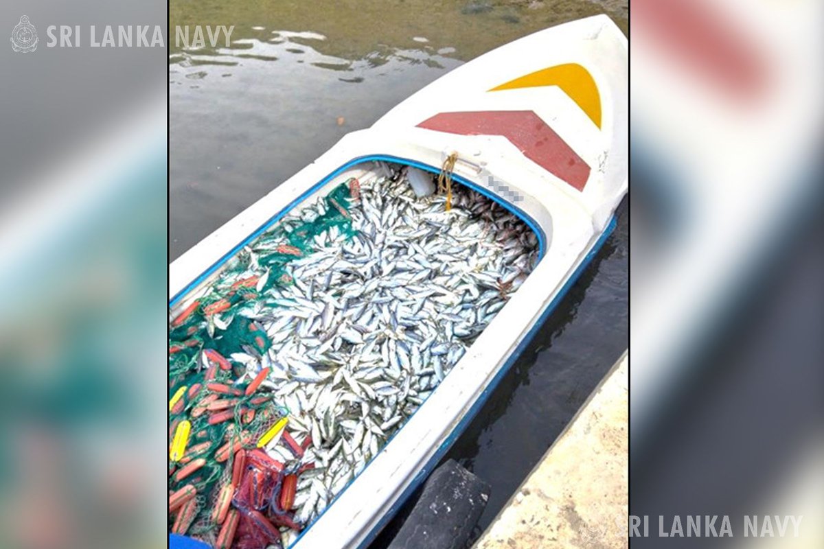 srilanka_navy's tweet photo. The @srilanka_navy's sustained recent operations dealt a heavy blow to illegal fishing activities. A total of 50 individuals along with their equipment were held in various locations. #IllegalFishing #FisheriesProtection

Read more: https://t.co/S1njVV1Cs8 https://t.co/xndj0TeJZG
