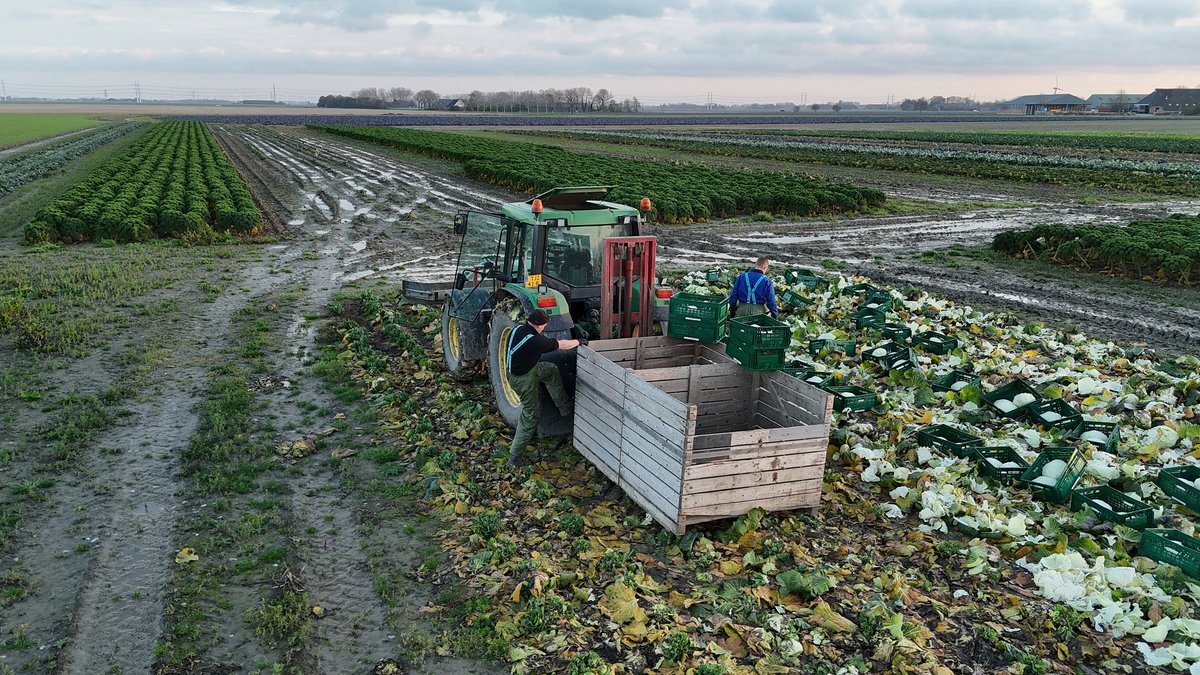 Zonsondergang vanmiddag.