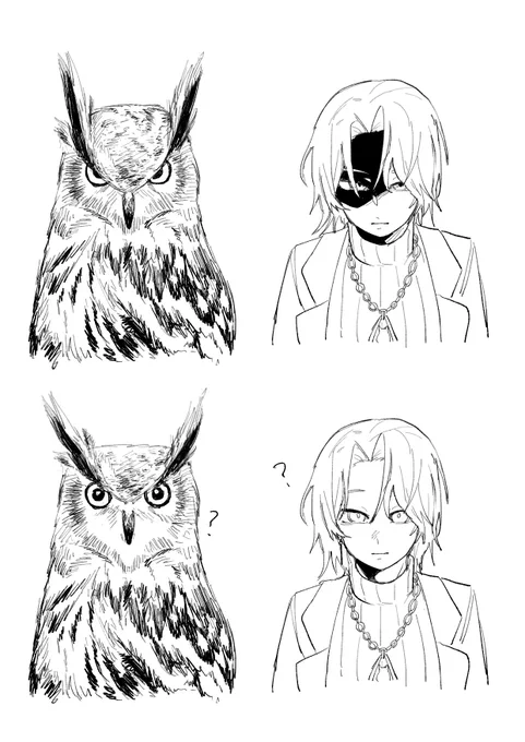 🦉 