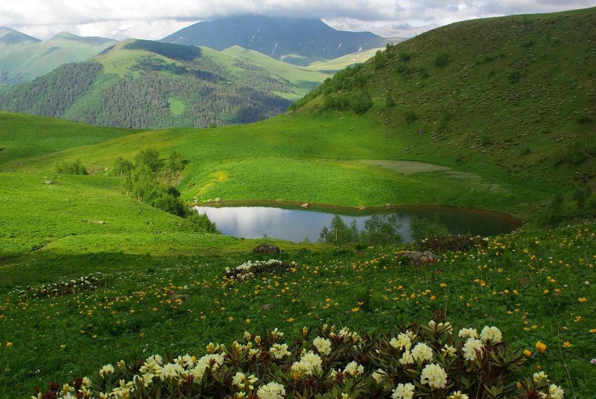 🇰🇪Robert Bwage tweet media