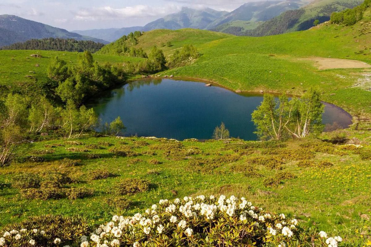 🇰🇪Robert Bwage tweet media