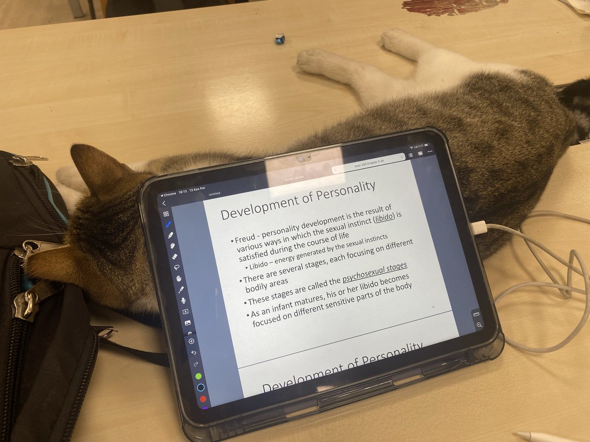 Tablet tutacağı aldım nasıl?