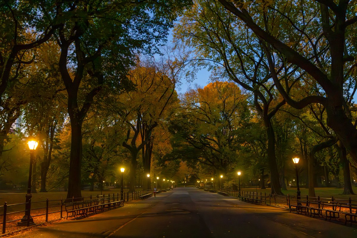 CentralParkNYC's tweet image. With the sun setting earlier each day, now is the perfect time for a stroll through the Park at dusk! 🌙 

From the warm glow of lampposts on the Mall to spectacular views of Belvedere Castle all lit up, some of the most stunning views in the Park come after dark.