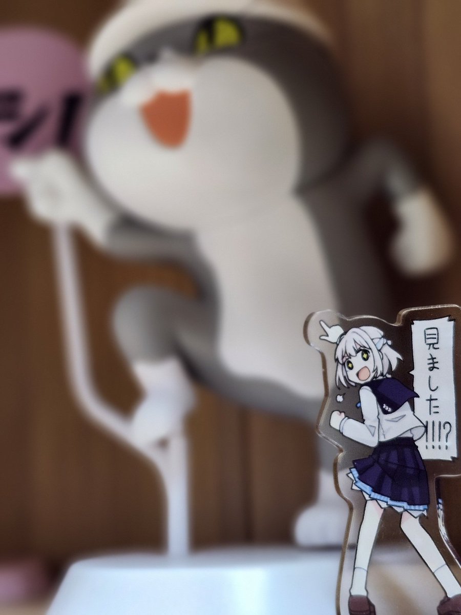 t3さんのリーリヤアクスタ良すぎて思わず2つ購入…届いて飾ってみたら思った以上に良かったので清夏ちゃんのも追加で頼みました……