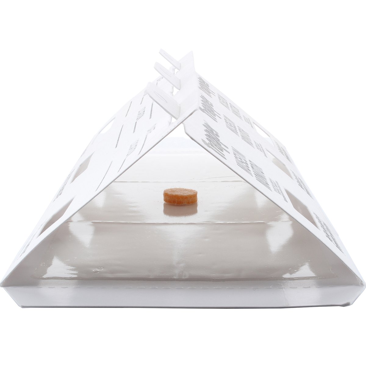 Insects Limited, Inc tweet media