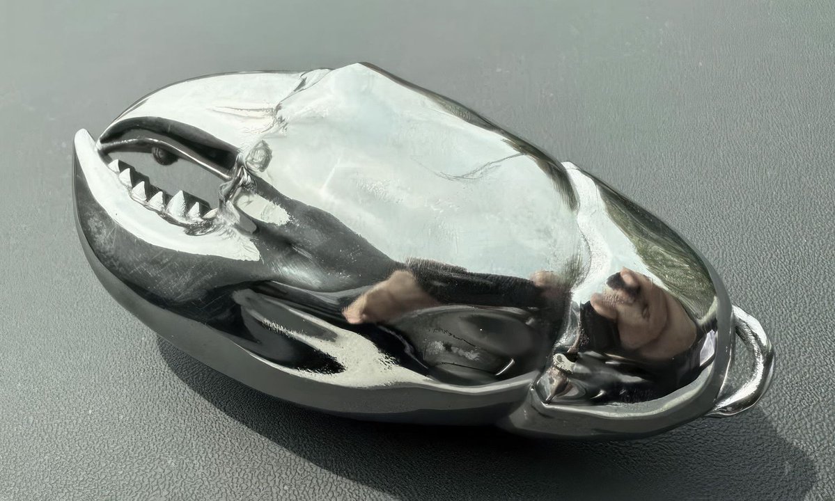 facfox3d's tweet image. This titanium keychain takes inspiration from a crab’s claw, 3D printed with DMLS technology. The surface has been fine-polished to a mirror sheen, creating a reflective finish that enhances its sculptural look.
More: buff.ly/mqS7lni
#Metal3DPrinting #DMLS #ProductDesign