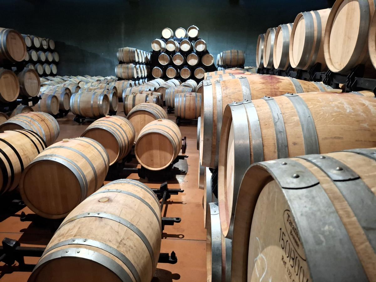 ADHalliwell's tweet image. More #barrel work today at #BodegasObalo #Rioja.