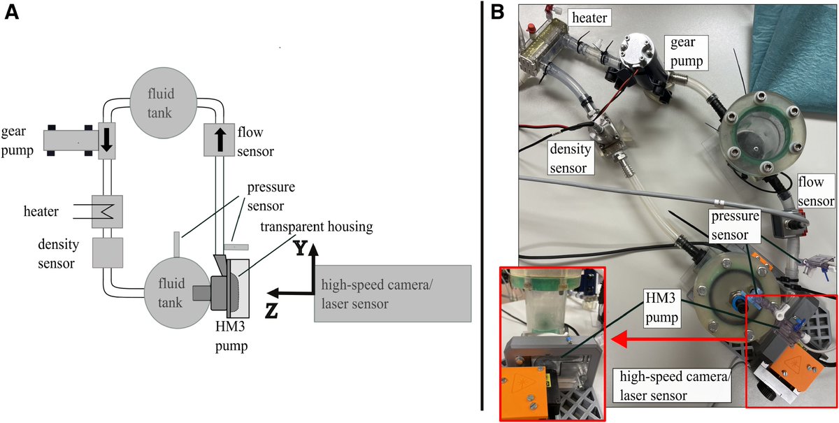 asaiojournal's tweet image. Impeller Position in a Magnetically Levitated Rotodynamic Blood Pump and Its Impact on In-Silico Hemocompatibility
ASAIO Journal 71(11):p 905-911, November 2025. | DOI: 10.1097/MAT.0000000000002434
ow.ly/5Srx50XqE2C 
#ASAIO