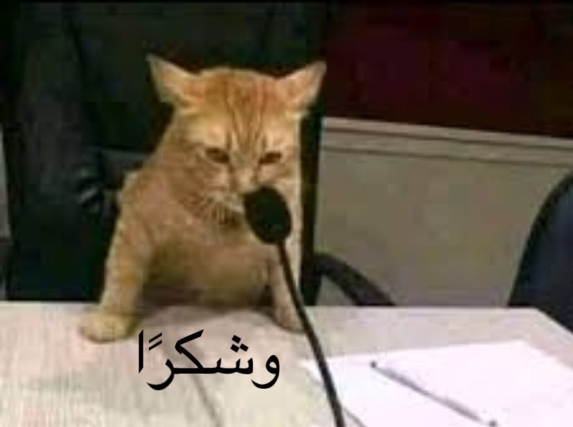 Fatema0k's tweet image. إليكم البيان التالي: 
المجد للشتاء وقهوة الشتاء وبرد الشتاء. 
انتهى البيان