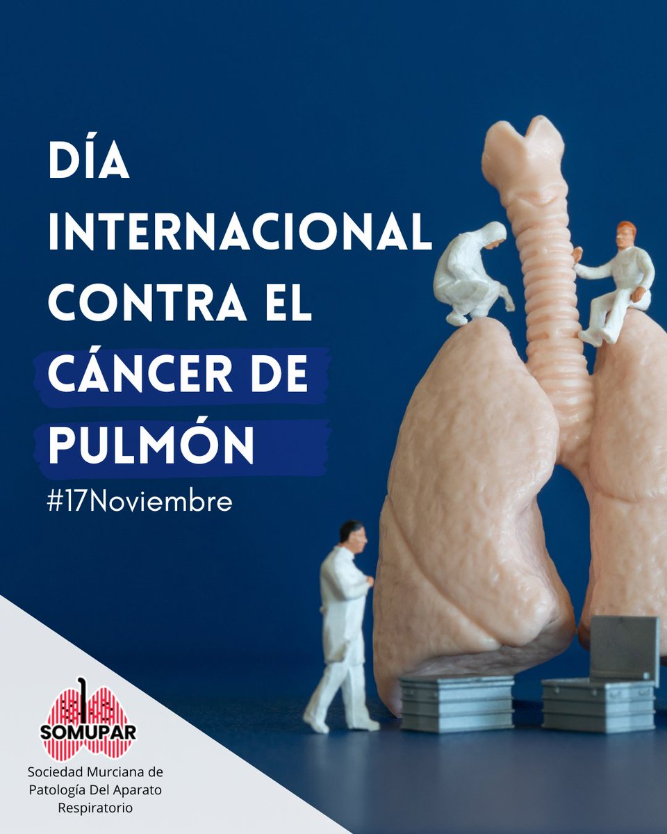 🫁 Hoy, en el Día Internacional contra el Cáncer de
Pulmón, desde #SOMUPAR alzamos la voz por la prevención, la investigación y el acompañamiento.

Dejar de fumar, revisar síntomas y apostar por hábitos de vida saludables son pasos clave✅

#cáncerpulmón #investigación