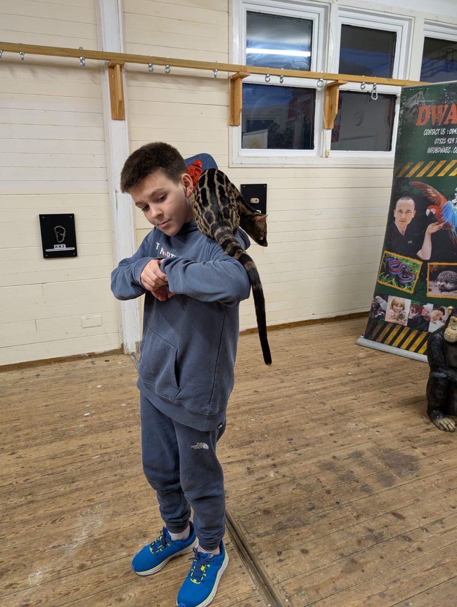 highcliffeps's tweet photo. More animal magic! https://t.co/gu4IJsfJzg