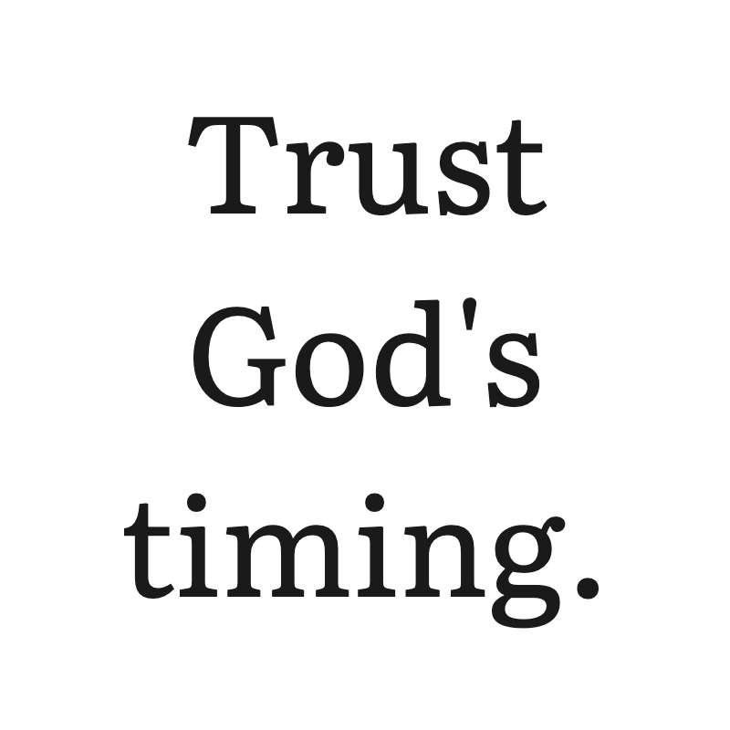 ChristisKing's tweet image. 