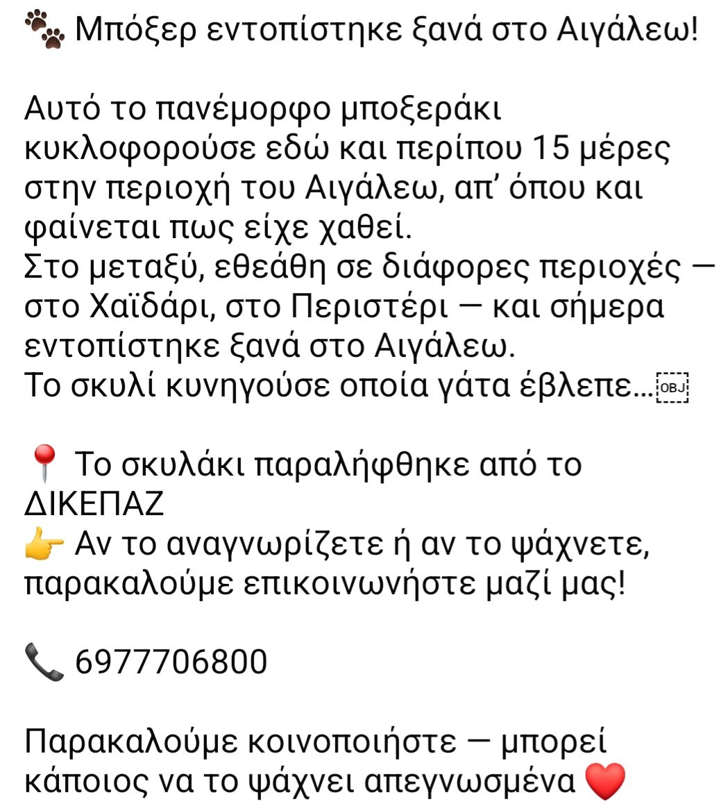 KatKatPt's tweet image. 🆘️🆘️🆘️
Μποξερ εντοπίστηκε στο Αιγάλεω 
Κυκλοφορεί εδώ κ μέρες σε διάφορες περιοχές,Χαϊδάρι,Περιστέρι,Αιγάλεω
Παραληφθηκε απο το ΔΙΚΕΠΑΖ 
Το αναζητεί κανείς;
Rt 🙏 🙏 🙏