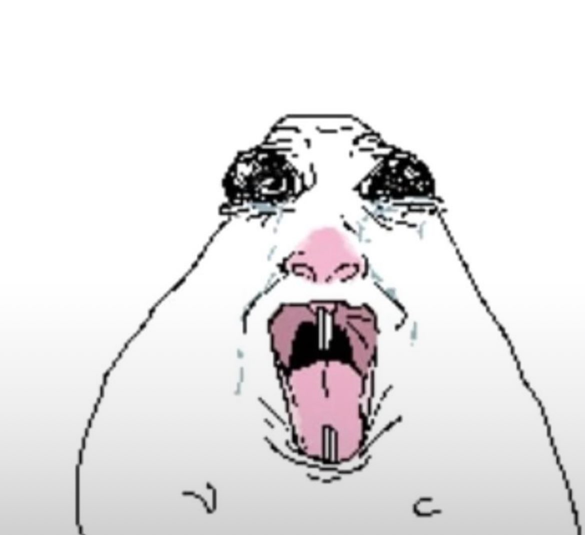 ใครปิดvpn