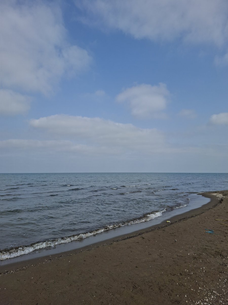 mstmoj's tweet image. دریا و آسمون
ترکیب برنده