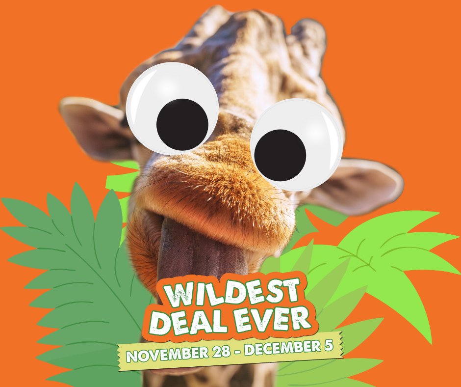 Wild Florida tweet media