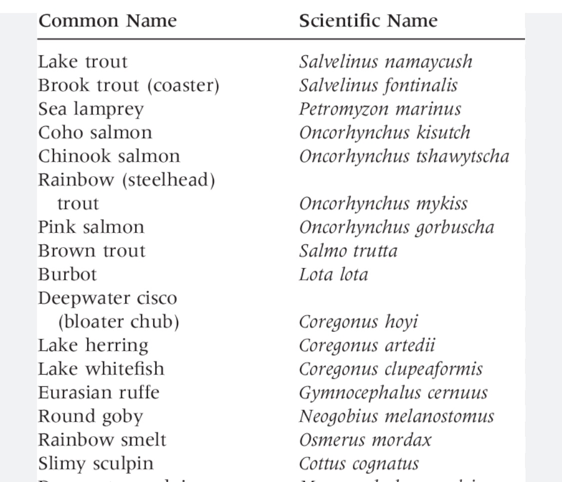 Is this a hack? If you need quick fantasy land sounding names, use a list of scientific names for species.

From the below you can use Salve, Linus, Onco, Salmo, Nata, Trut, Lota… 

Obviously quite Latiny, but easy inspiration!