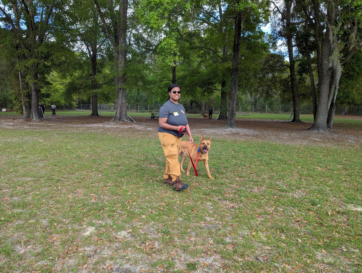 DogsPFL's tweet photo. Next Thursday! Join us for our ✨new✨ Virtual Workshop on Loose-Leash Walking and Working Walk! Pay $20, get the recording.
Register: https://t.co/rVj8ZO4atI https://t.co/5AHA88Y2DW