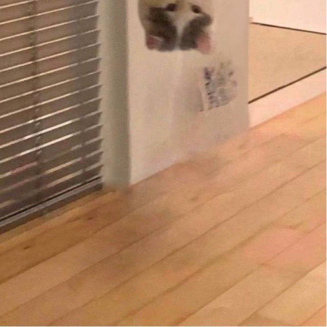 michi (@michionsolana) on Twitter photo 