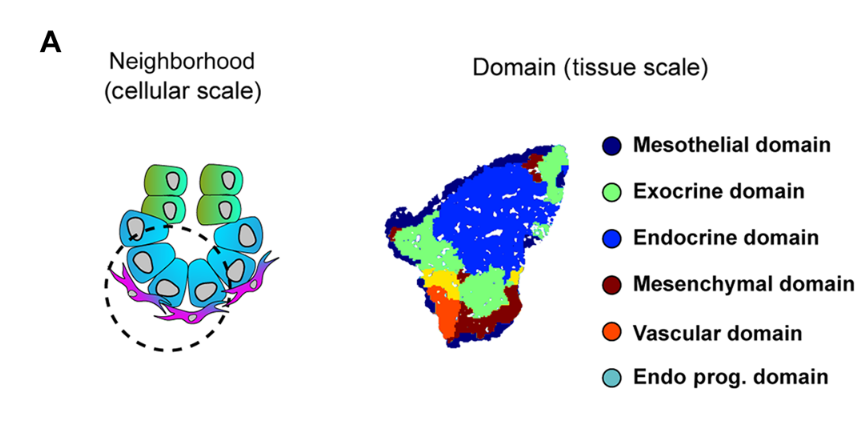 Spagnoli Lab tweet media