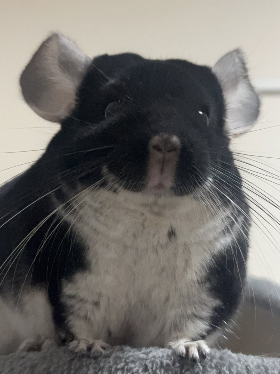 ことほ (@KoToHo0627) / Posts / X