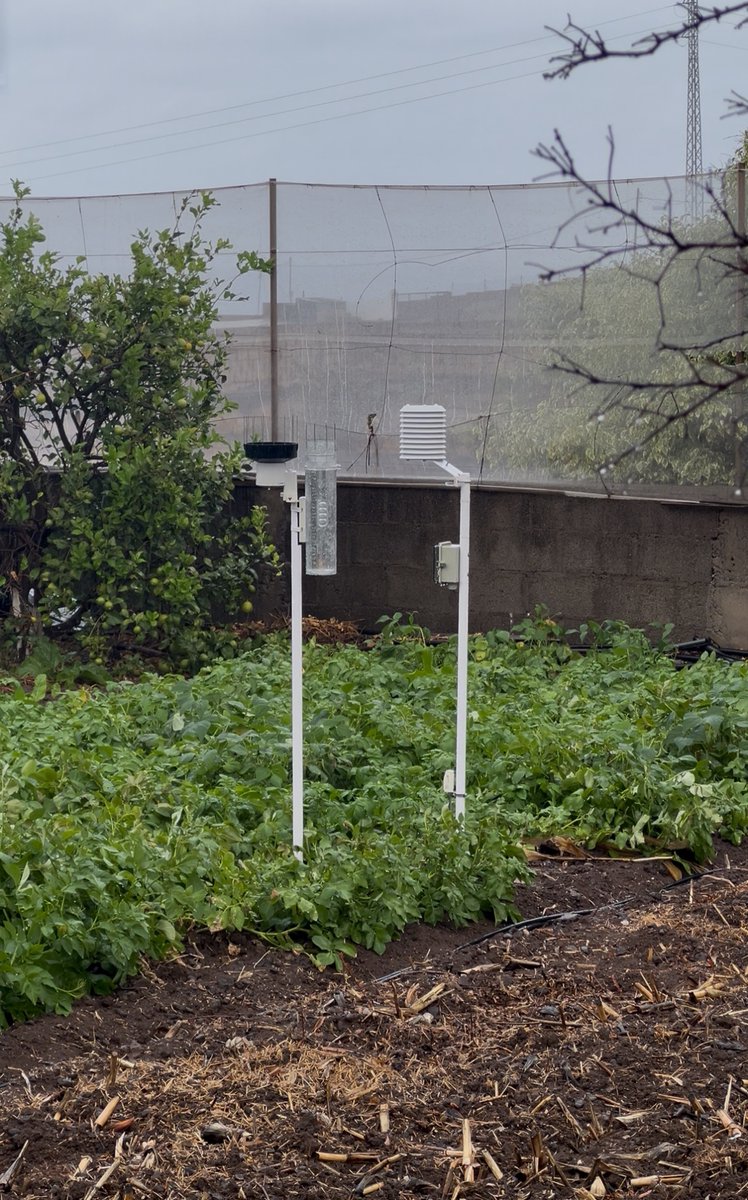 Aitor_Quiles's tweet photo. Tejina, unos litros más para el acumulado aproximado de 30 l/m2 🌧️ entre ayer y hoy en la zona de costa. https://t.co/KKhvXUigyG