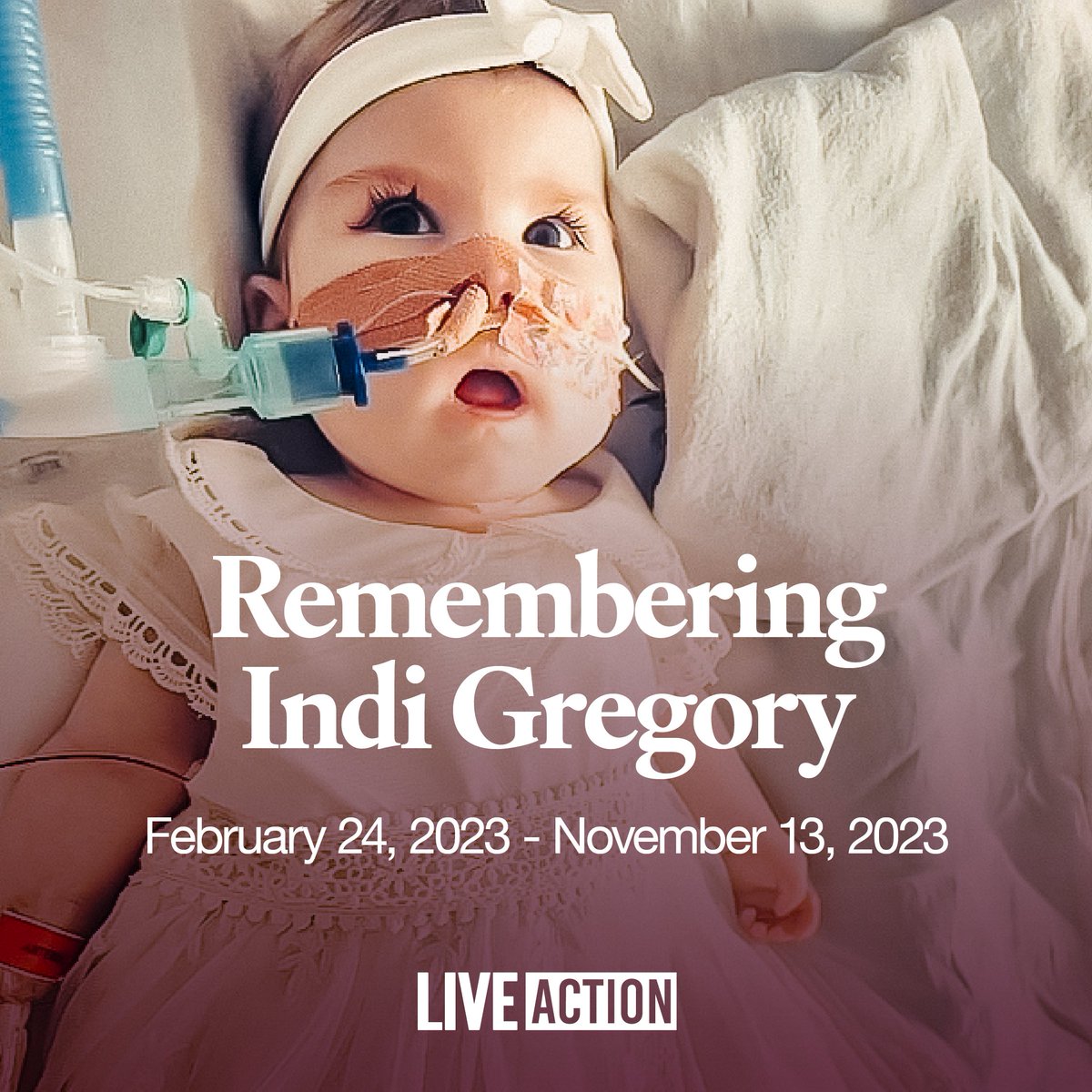 LiveAction's tweet image. 2 years ago today, Indi Gregory was murdered by the British government.

She was 8 months old.

Indi was born with a disease that children have survived with for years.

But a UK court ruled that her life support should be removed AGAINST her parents’ wishes.

Indi was granted…