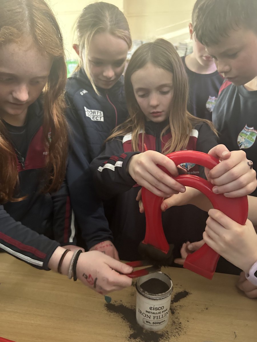 kilbehennyns's tweet image. 3rd and 4th classes #KBNS really enjoyed exploring magnetism ⁦@ScienceWeek⁩. They particularly enjoyed testing out the messy magnetism of iron filings! ⁦@esbscienceblast⁩ ⁦@CuriousMindSTEM⁩