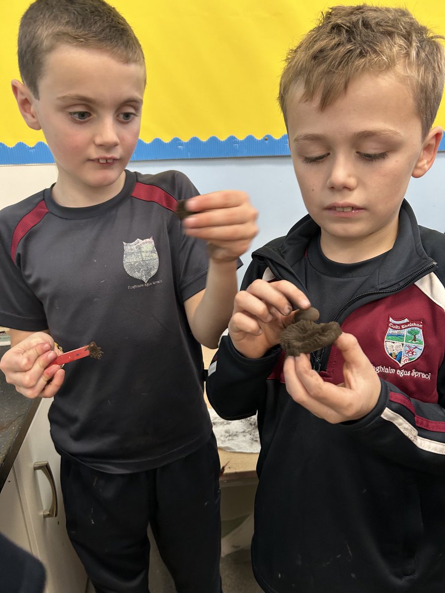 kilbehennyns's tweet image. 3rd and 4th classes #KBNS really enjoyed exploring magnetism ⁦@ScienceWeek⁩. They particularly enjoyed testing out the messy magnetism of iron filings! ⁦@esbscienceblast⁩ ⁦@CuriousMindSTEM⁩