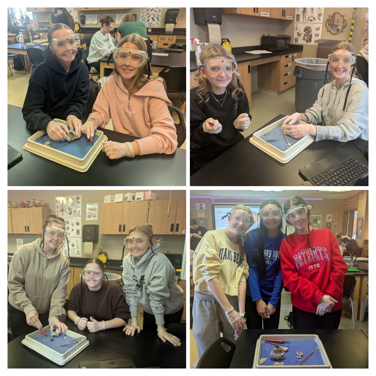 Millard Health Science Academy tweet media