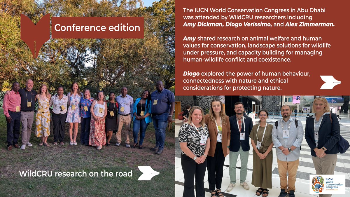 WildCRU_Ox's tweet image. It is conference season at WildCRU and our researchers have been attending events across the world to share their work, forge new collaborations and discover the latest updates in wildlife conservation.

[1/3]