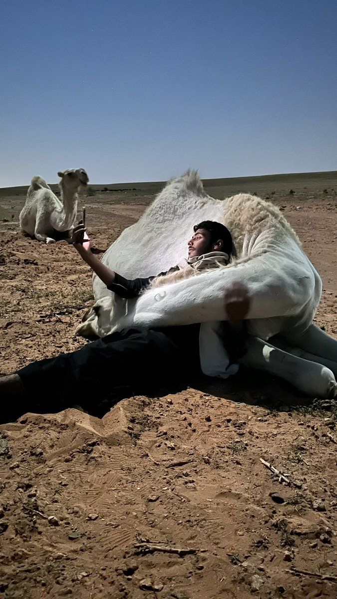 2lji7's tweet photo. تباهي في ذراي ولك يلين الخاطر الجلمود
جعل قلب يوريك القسى ما يقبل إحسانه
_سعود مهدي https://t.co/FqkyKiviEs