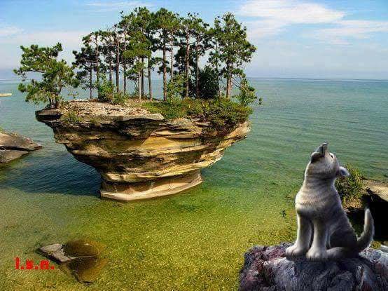 KralProfil01 tweet media