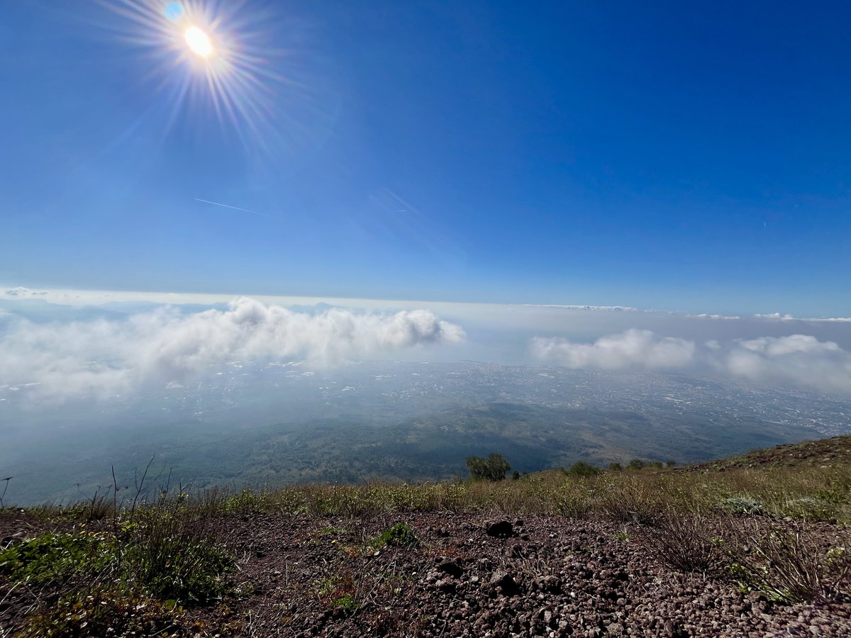 Constantin tweet media