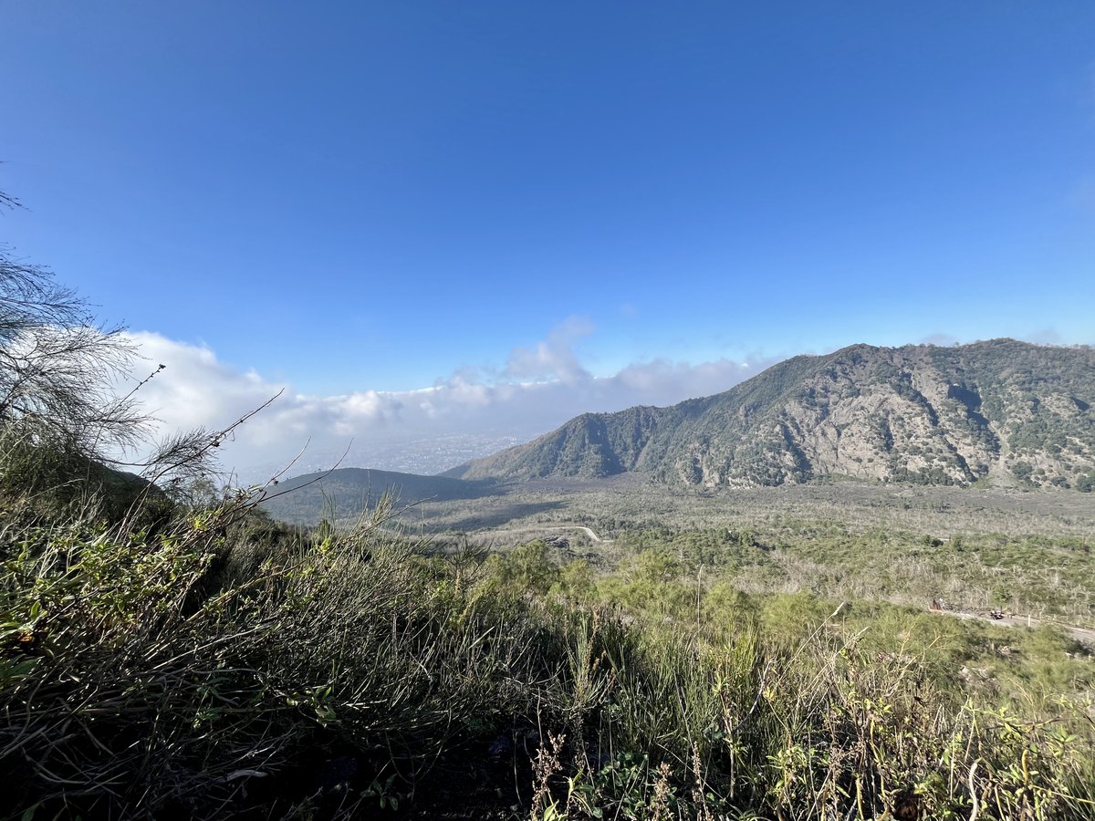 Constantin tweet media