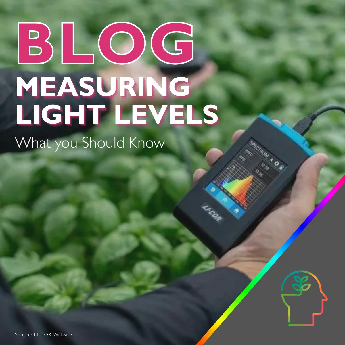 Have you measured your light and spectral output recently?

Learn more about the importance of measuring your light levels in our new Expert Article:   bit.ly/3Lzz0b7
 
#measurement #metrics #horticulture #greenhouses #lightingknowledgecompany #supportlocalgrowers