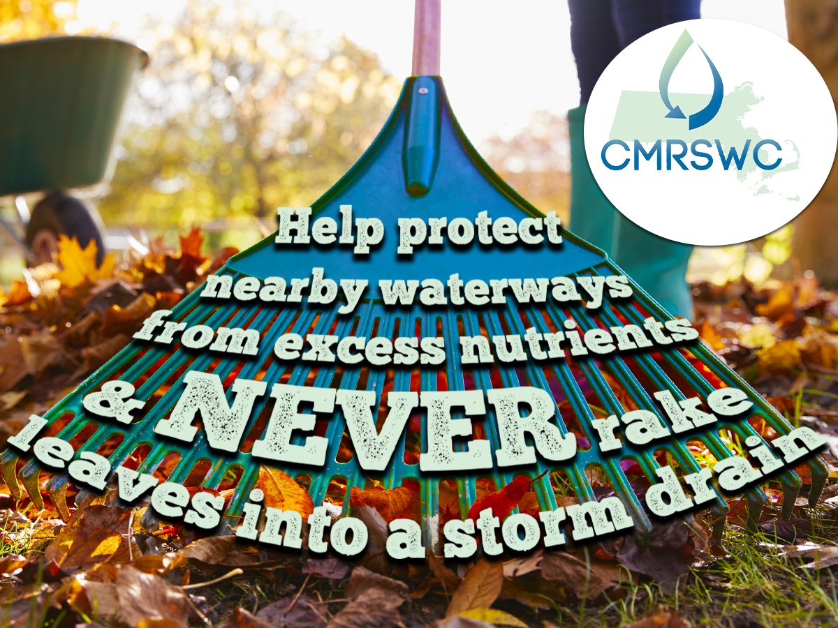 MAStormH2O's tweet photo. Keep leaves out of storm drains! 🍁 When leaves pile up in gutters, they send excess nutrients into local waterways and contribute to pollution. Do your part—bag, mulch, or compost leaves, but never rake them into the street.
#LeafHero #OnlyRainDownTheDrain https://t.co/N6K3RVwjFH