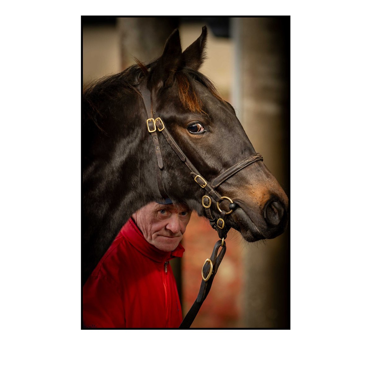 Morgan Treacy tweet media