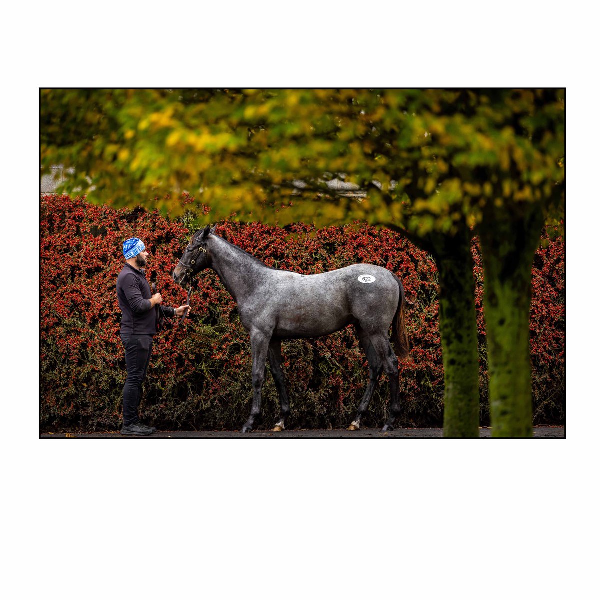 Morgan Treacy tweet media