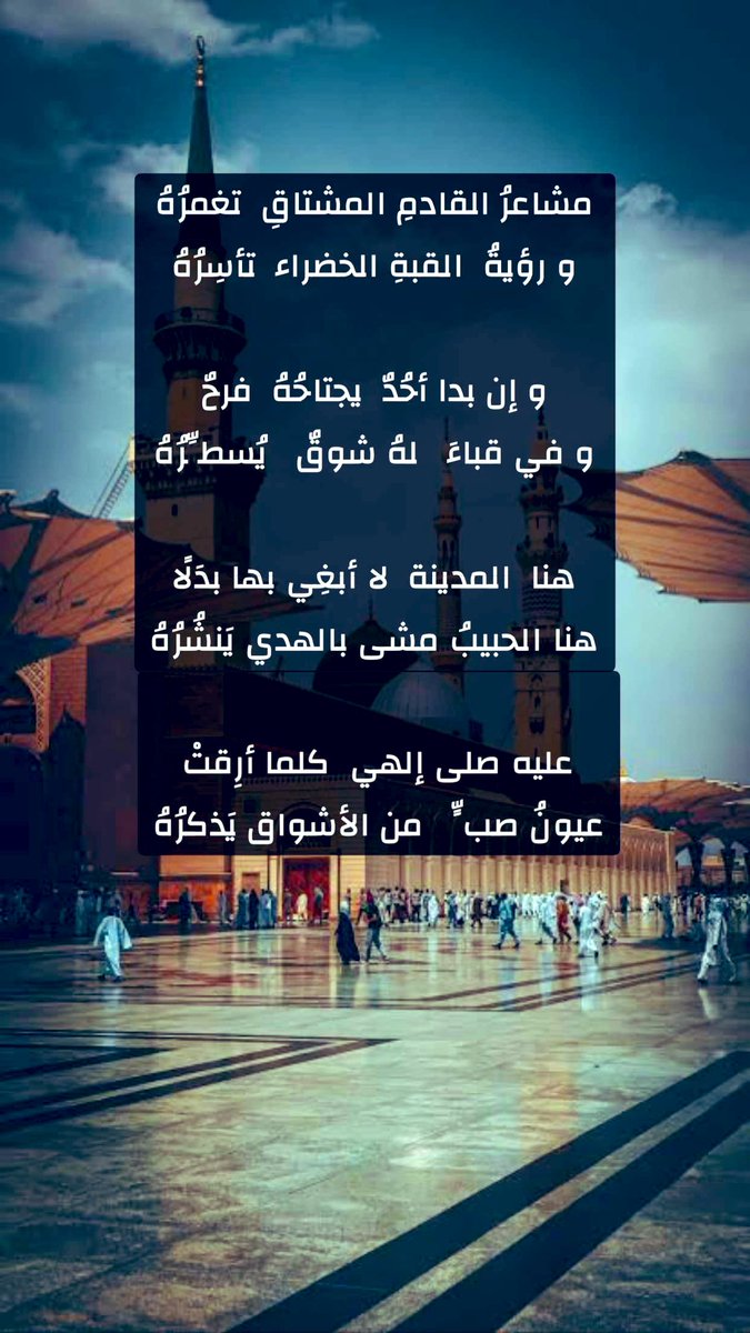 معتز الحامد tweet media