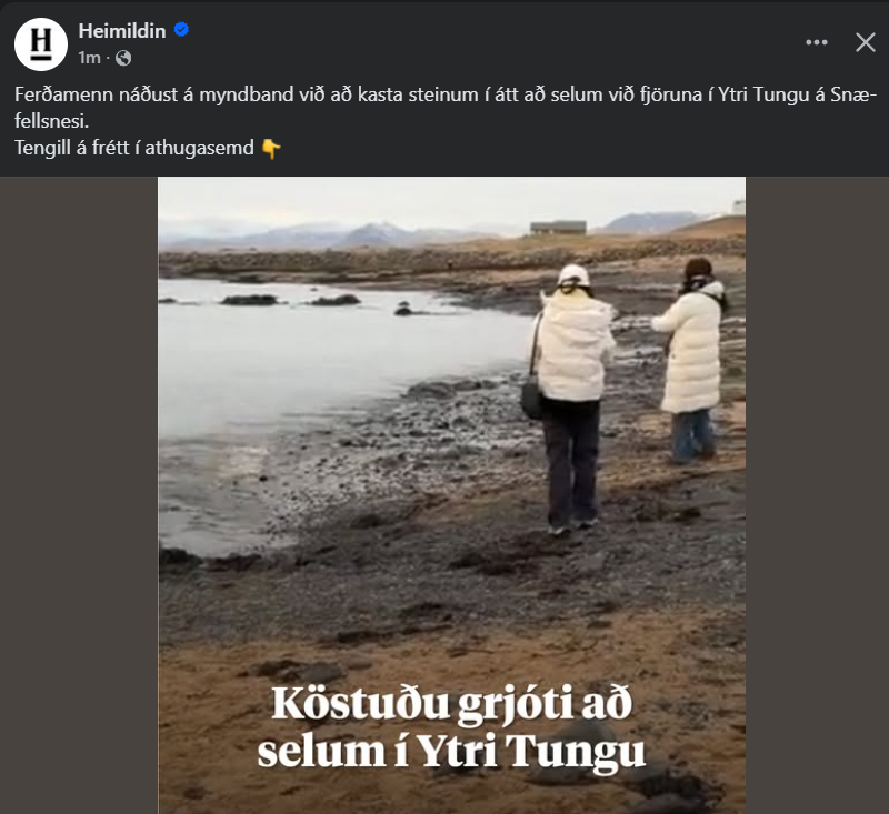 Hafþór Óli tweet media