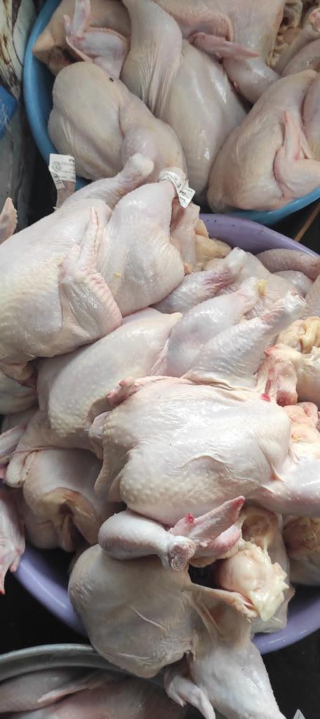 suzan00a's tweet photo. My children tell me with heavy hearts how much they long to eat chicken after eight months without it. I hope your donations will bring joy to their hearts by providing them with chicken for lunch tomorrow.
https://t.co/sj12kxA0yE https://t.co/JqZHPqFSP4