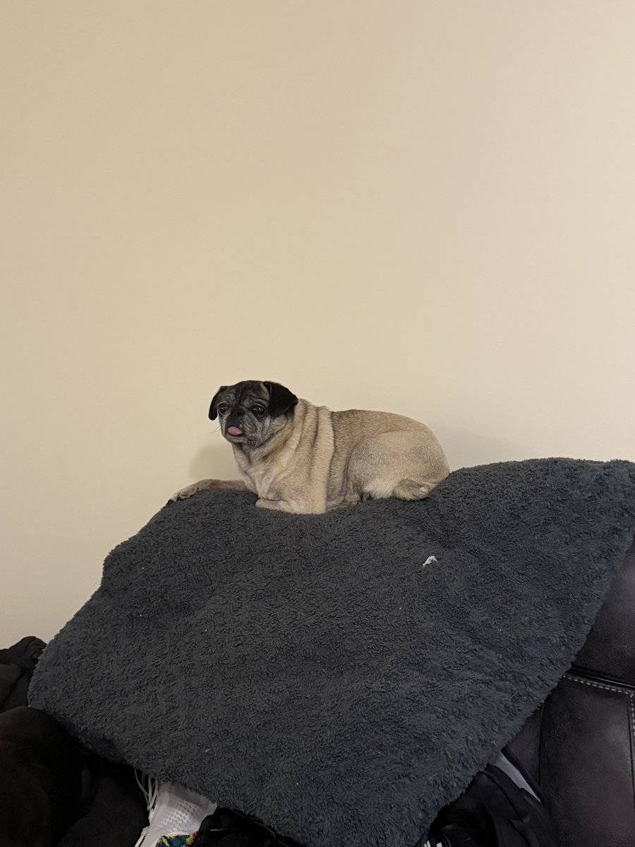 I put her bed up so I could work out