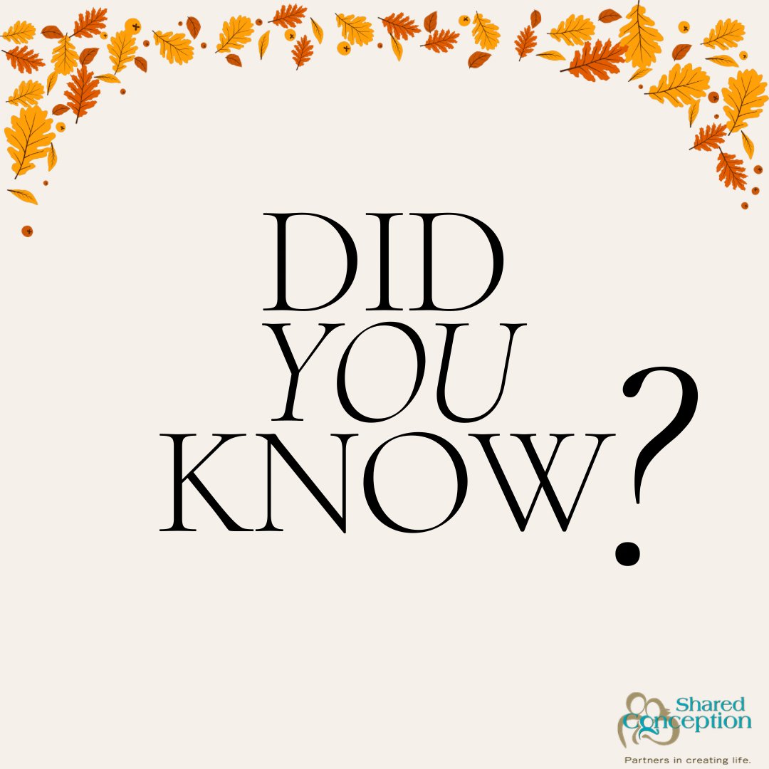 Emotional wellness matters just as much as physical care. 💛
Surrogacy is a journey of the heart — take time to rest, reflect, and receive support when you need it. 🌿

#SurrogacyCare #Wellness #GratefulHearts #Sharedconception