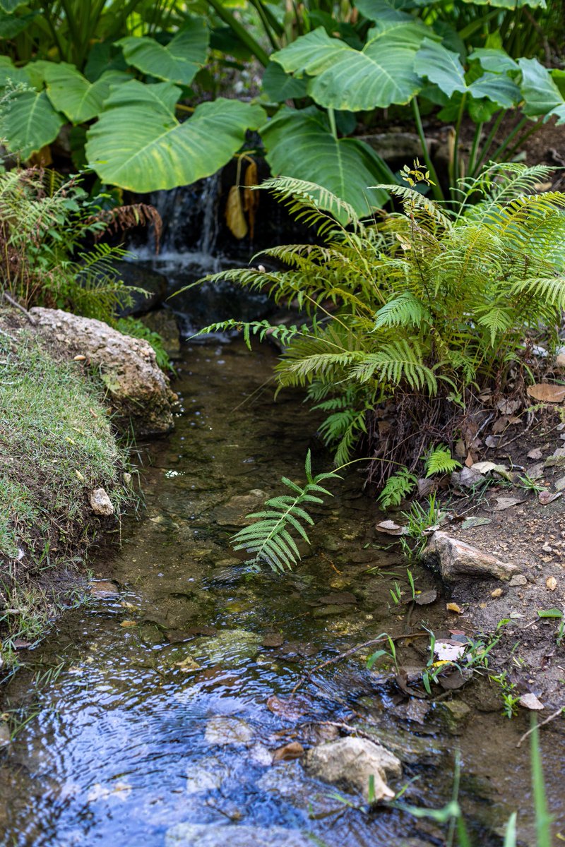 CM_Austin's tweet image. Thank you to UMLAUF Sculpture Garden + Museum for hosting our September event on their beautiful grounds. @umlaufsculpture 
📸 by Chris Tyre #CMsoft #CMATX
