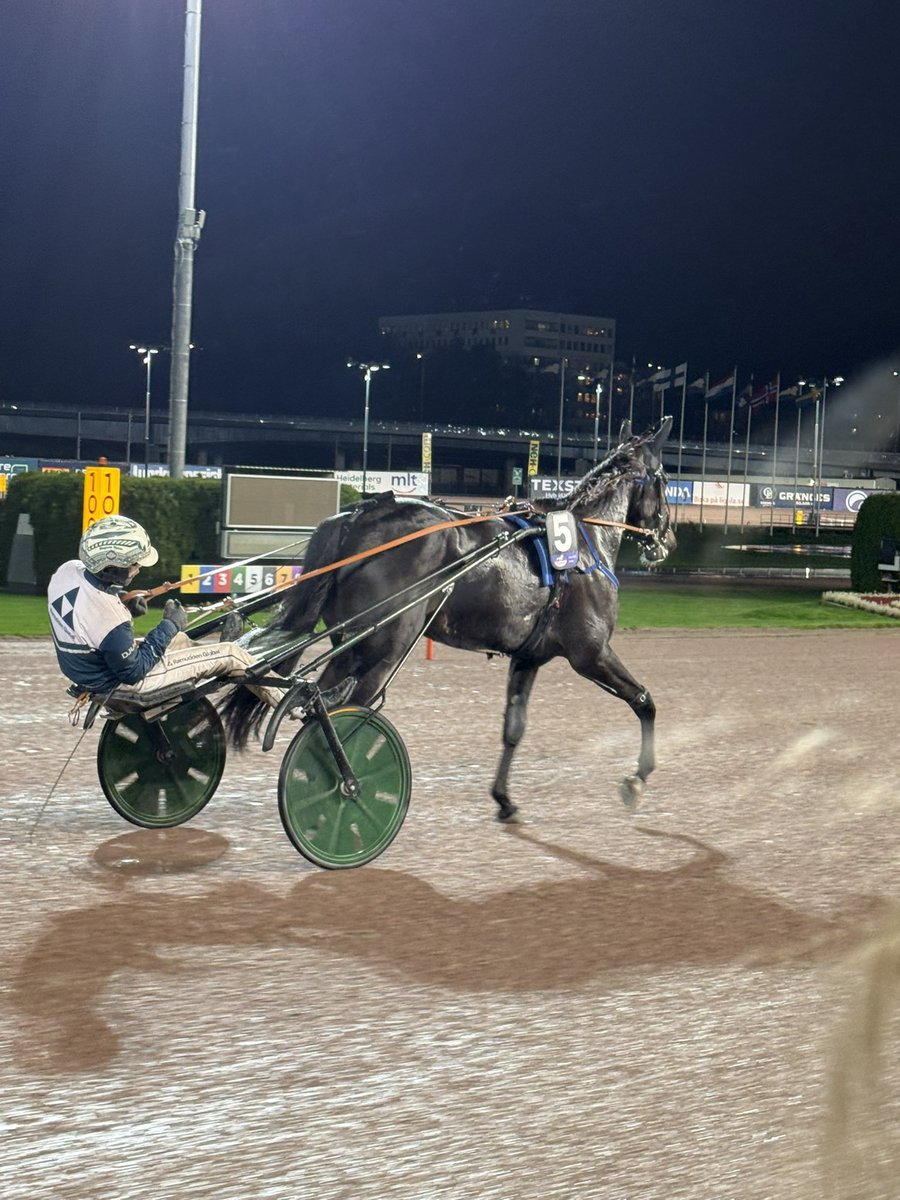 Wilbacher's tweet photo. Vilken kväll igår @WiseBetting #Adriatica https://t.co/EO2zv47O0W