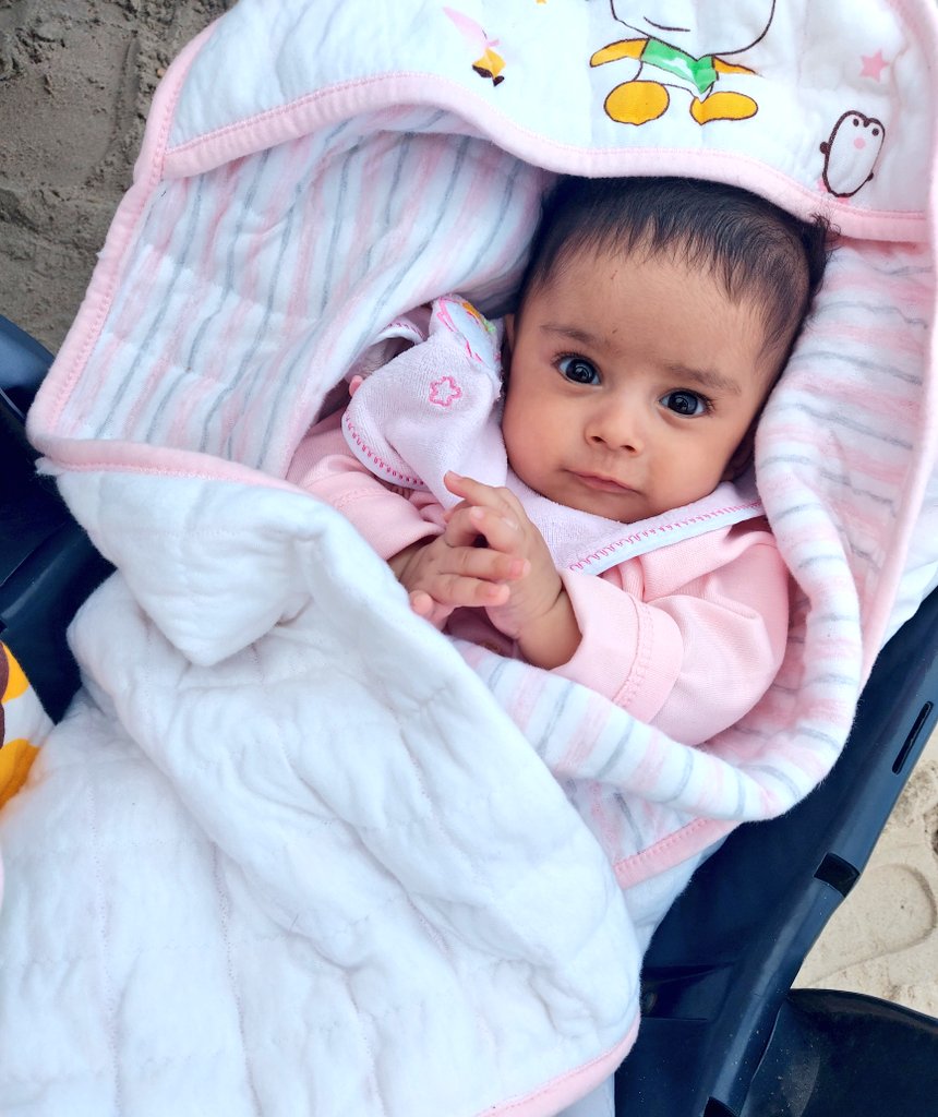 Please…don’t scroll past.
Eileen needs milk.
Eileen needs milk.
Eileen needs milk.

If you just leave 3 comments, this post might reach more people —
and you might help save him.

Please don’t ignore this call… Eileen is hungry, and he deserves to live.

chuffed.org/project/safe-l…