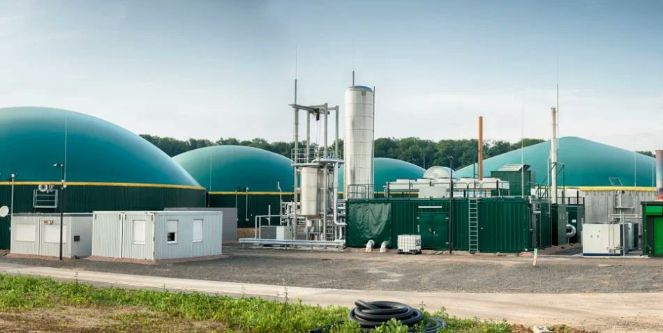 El modelo de biometanización con macroplantas amenaza la agricultura y el medio ambiente en Navarra

tinyurl.com/4rxwrbtd