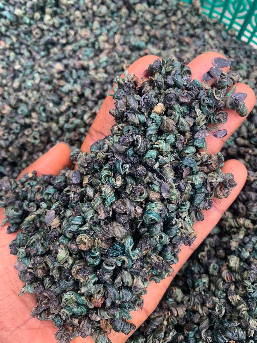 h_okolobe's tweet photo. Fresh, clean, and quality foodstuffs that speak for themselves 🥬🐟✨

From dried fish to jumbo snails, palm oil, and more — we bring you real taste from home!

📦 Fast delivery | 💯 Quality guaranteed
#ElshaFoodz
 #NaijaFood 
#Africanstores
#Nigeriansindaispora
#anigeriqnsinUK https://t.co/cc6HACFxPz
