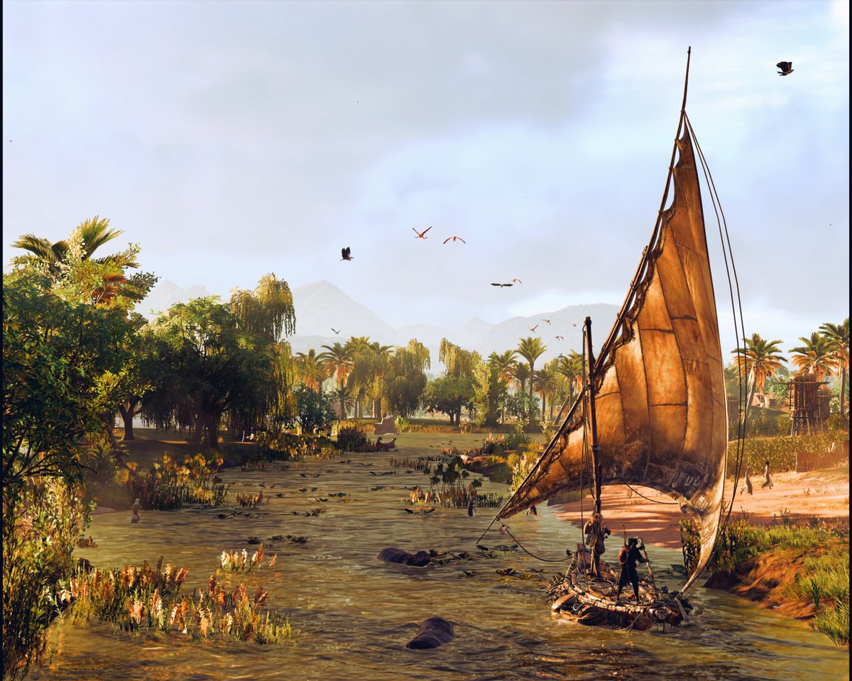 Birgamerinalbumu tweet media